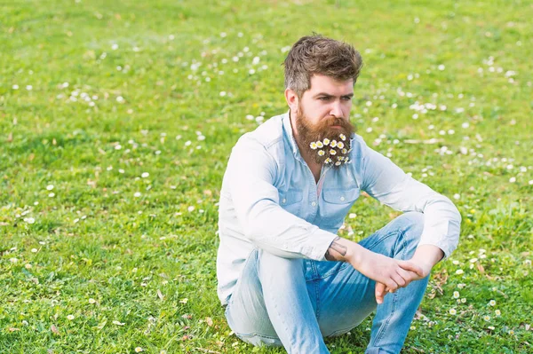 Homem com rosto calmo relaxante no campo gramado com flores silvestres. Bonito tipo com flores de margarida ou camomila na barba, sentado no prado verde. Conceito de frescura de primavera — Fotografia de Stock