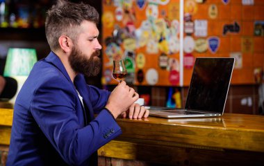 İşadamı Internet sörf içki alkol. Hipster freelancer iş online içme konyak. Adam işadamı bar counter dizüstü konyak sakallı. Çok iyi başarılı işadamı sakin ol. Başarı kutlamak