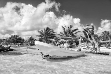 Deniz beyaz Motorlu tekne