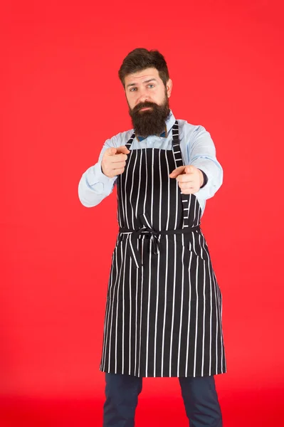 Heureux de cuisiner pour vous. Concept de café moderne. Cuisiner des repas modernes. Homme avec barbe cuisinier tablier hipster. Hipster chef cuisinier fond rouge. Un homme barbu cuisinier. Hipster cuisine maison ou restaurant — Photo