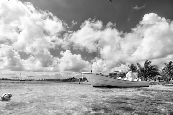 Weißes Motorboot im Meer — Stockfoto