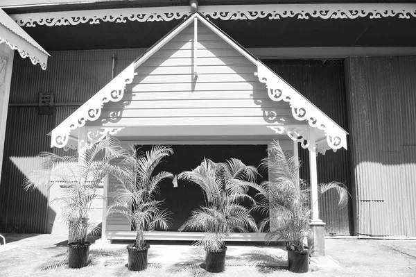 棕榈科植物座木头房子里 — 图库照片