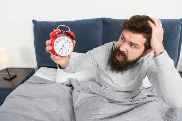 Levanta-te com o despertador. Adormeceu outra vez. Dicas para acordar cedo. Homem barbudo cama de rosto sonolento com despertador na cama. Que barulho terrível. Desliga esse toque. Problema despertar de manhã cedo — Fotografia de Stock