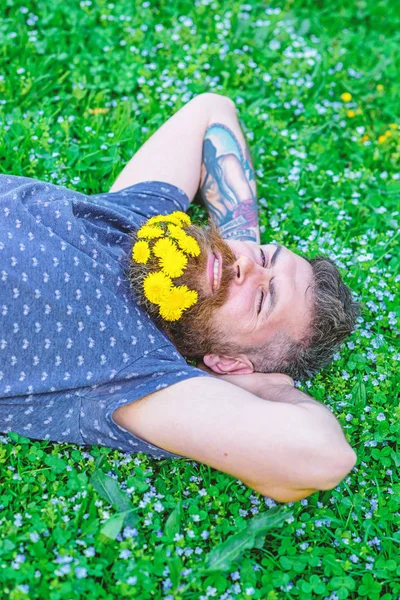 Bearded man with dandelion flowers in beard lay on meadow, grass background. Man with beard and mustache on smiling face. Freshness concept. Hipster with bouquet of dandelions in beard relaxing