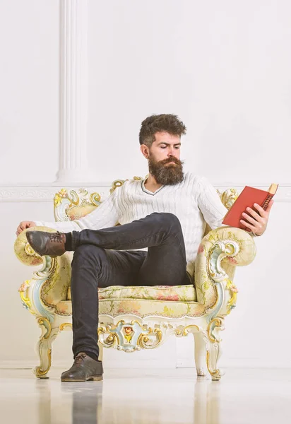 Profesor inteligente sentarse en el sillón y lee libro, fondo blanco de la pared. Científico, profesor de cara pensativa disfruta de la literatura. El hombre con barba y bigote pasa el ocio con el libro. Concepto inteligente —  Fotos de Stock