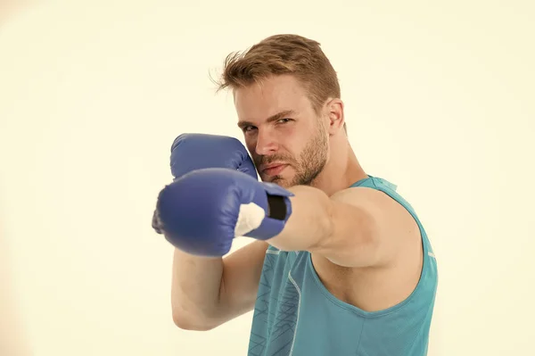 Boxeador deportivo concentrado entrenando guantes de boxeo. Hombre rostro concentrado en guantes azules practicar habilidades de lucha fondo blanco aislado. Boxeador practicando antes de boxear. El boxeo es su pasión — Foto de Stock