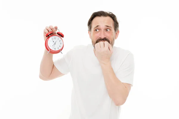 Preocupa-te com o tempo. Calendário pessoal e regime diário. Hora do despertador da manhã. Homem barbudo maduro cara segurar relógio isolado em branco. Homem com barba verificar que horas são. Competências de gestão do tempo — Fotografia de Stock