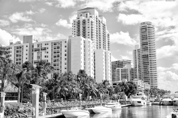 Marina Miami Beach, Florida, ABD — Stok fotoğraf