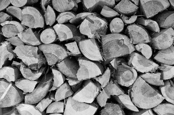 Logs or piles of firewood