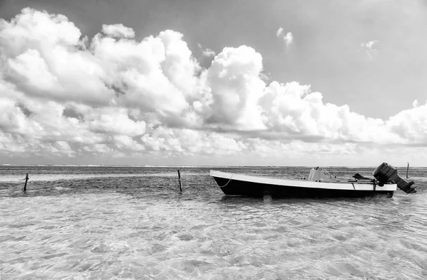 Белый моторный катер в море — стоковое фото