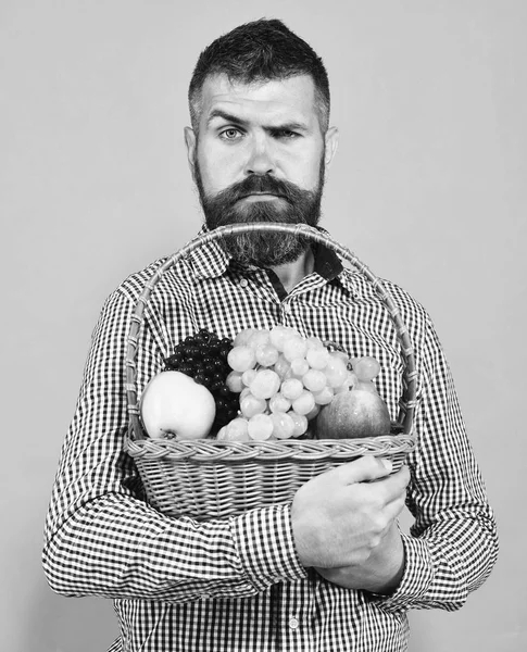 Mann mit Bart hält Korb mit Früchten isoliert auf grünem Hintergrund. Landwirtschafts- und Gartenkonzept. Mann hält eigene Ernte. — Stockfoto