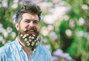 Tazelik kavramı. Hippi defocused yüz, Doğa arka plan, gülümseyen üzerinde. İle adam sakal ve bıyık zevk bahar, yeşil ağaçlar arka plan. Sakal papatya veya papatya çiçekleri ile adam