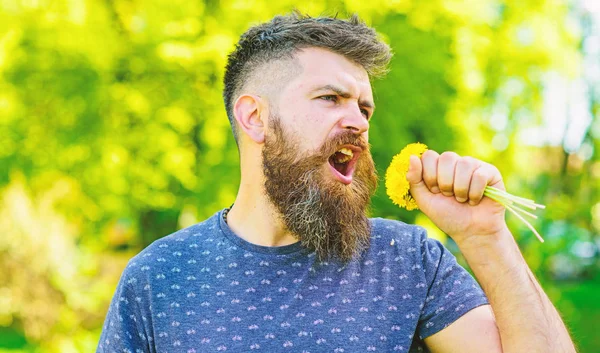 Mannen med skägg och mustasch på glada ansikte innehar bukett maskrosor som mikrofon. Hipster gjort bukett, gröna natur bakgrund, oskärpa. Sångaren koncept. Skäggig man innehar gula maskrosor — Stockfoto