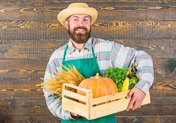 Dostawa świeżych warzyw. Pole świeżych organicznych warzyw. Rolnik hipster słomkowy kapelusz dostarczyć świeże warzywa. Człowiek wesoły Brodaty rolnik nosić fartuch prezentując warzywa podłoże drewniane pudełko — Zdjęcie stockowe