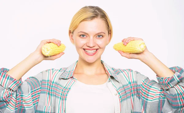 Concetto di raccolto autunnale. Ragazza in stile rustico tenere in mano il mais maturo. Cibo vegetariano e prodotti biologici sani. Agricoltura e concetto di colture autunnali. Donna contadino tenere giallo pannocchia di mais su sfondo bianco — Foto Stock