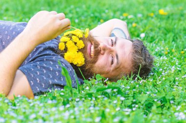 Spa ve sağlıklı yaşam konsepti. Sakallı adam karahindiba çiçekli çayır, çimen arka plan üzerinde yatıyordu. Sakallı yüzü gülen üzerinde doğa keyfini çıkarın. Hipster sakal rahatlatıcı dandelions buket