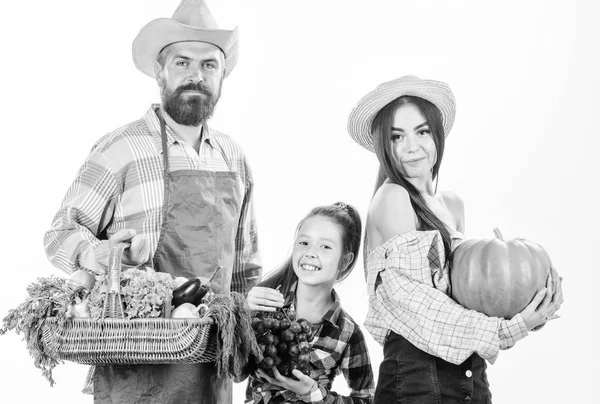 Oogstfeest concept. Ouders en dochter boeren vieren oogst vakantie. Familiebedrijven in de landbouw tuinders mand oogst geïsoleerd witte achtergrond. Familie rustiek boeren trots op val oogst — Stockfoto