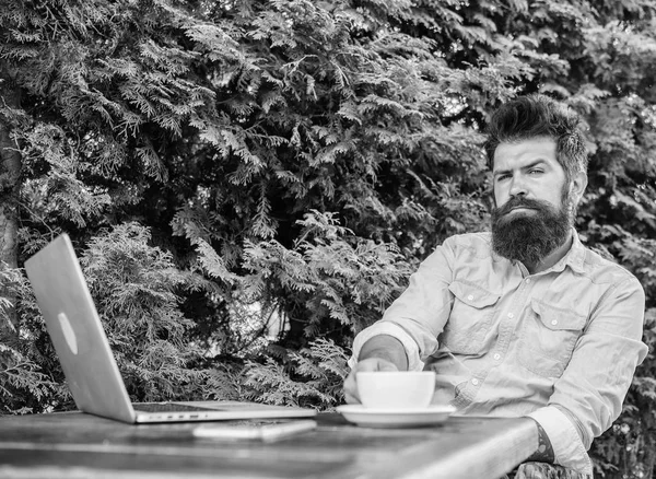 Guy bebe café relaxante terraço verde ramos fundo. Um momento agradável. Tire um momento para pensar. Intervalo para relaxar. Homem hipster barbudo fazer pausa para beber café e pensar enquanto se senta com laptop — Fotografia de Stock