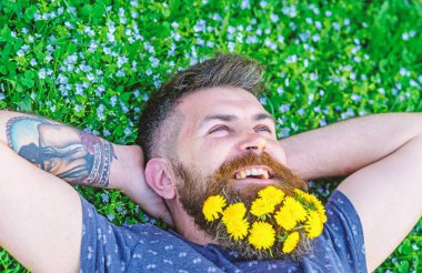 Özgürlük kavramı. Dandelions sakal rahatlatıcı, üst görünümünde adamla. Güler yüz üzerinde sakallı adam ellerini başının arkasında koy. Sakal karahindiba çiçeklerle sakallı adam çayır, çimen arka plan üzerinde yatıyordu