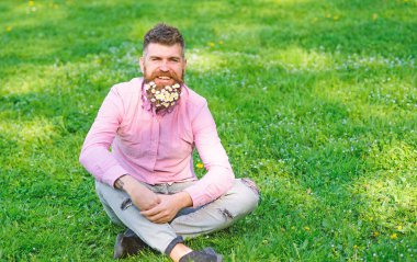 Güler yüz üzerinde sakallı Anti olmadan hayatın tadını çıkarın. Bahar Anti kavramı. Hipster papatya ile mutlu görünüyor. Grassplot, papatya çiçekleri oturur sakallı adam arka plan, kopya alanı çimen