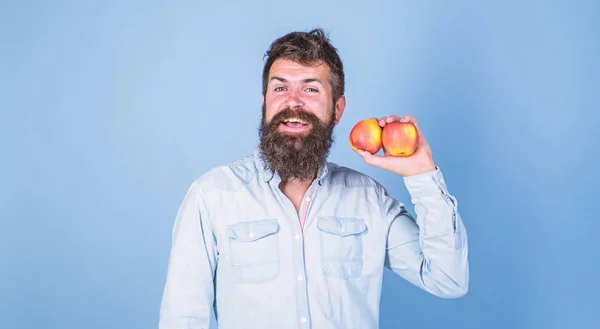 Pommes composés antioxydants responsables des bienfaits pour la santé. Choix nutritionnel. Pommes fruits de type populaire dans le monde. L'homme à la barbe hipster tient les pommes à la main. Valeur nutritive et bienfaits pour la santé — Photo