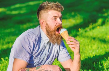 Uzun sakallı dondurma, çimlerin üzerine oturur iken tadını çıkarın. İncelik kavramı. Dondurma külahı sakallı adam. Sakal ve bıyık heyecanlı yüz yiyor dondurma, defocused arka plan, çim üzerinde olan adam