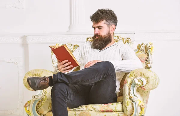 Intelligent concept. Scientist, professor on pensive face explores literature. Man with beard and mustache sits on armchair and reads book, white wall background. Macho smart spends leisure with book — Stock Photo, Image