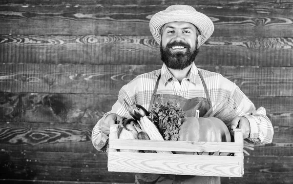 Hombre alegre granjero barbudo usar delantal presentando verduras caja fondo de madera. Farmer hipster sombrero de paja entregar verduras frescas. Servicio de entrega de verduras frescas. Caja de verduras orgánicas frescas —  Fotos de Stock