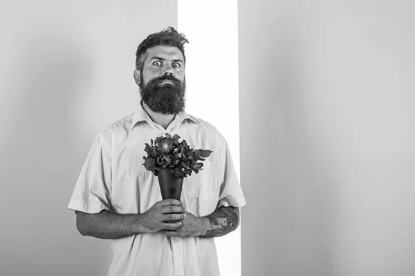 Λουλούδια παράδοση έννοια. Άνδρας με γενειάδα έκπληκτος μορφασμό κατέχει μπουκέτο φρέσκα λουλούδια. Παράδοση από τον άνθρωπο με τα λουλούδια. Συγχαρώ hipster με γενειάδα έτοιμο διακοπές. Guy κρατά μπουκέτο νευρικοί σχετικά με την ημερομηνία — Φωτογραφία Αρχείου