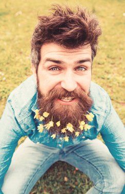 Hipster mutlu yüz defocused çimenlerin üzerinde oturur. Sakallı bahar, yeşil çayır arka plan sahiptir. Küçük kırlangıçotu çiçeklerle selfie fotoğrafta sakallı adam. Sakal buket kavramı