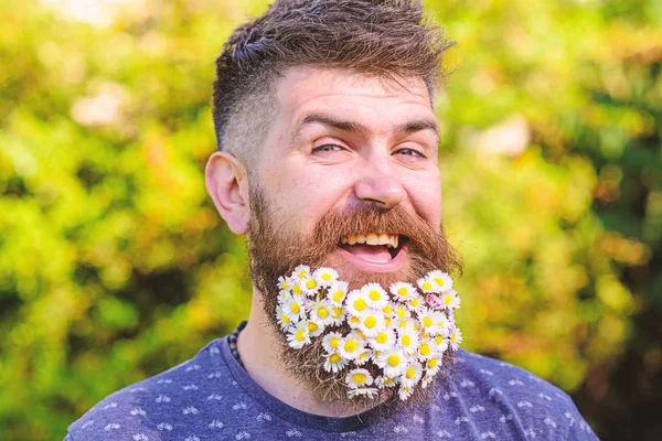 이 발사와 헤어스타일 개념입니다. 수염 및 콧수염 defocused 밝은 웃는 얼굴, 녹색 배경, 남자. 수염에서 꽃의 부케와 함께 hipster입니다. 데이지 꽃 수염 수염된 남자 — 스톡 사진