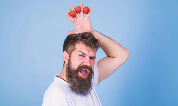 Strawberry kung koncept. Mannen skäggig hipster håller hand med jordgubbar ovanför huvud som krönar. Man framgångsrika trädgårdsmästare kung av jordgubbe blå bakgrund. Hipster glada skäggiga ansikte med krona — Stockfoto