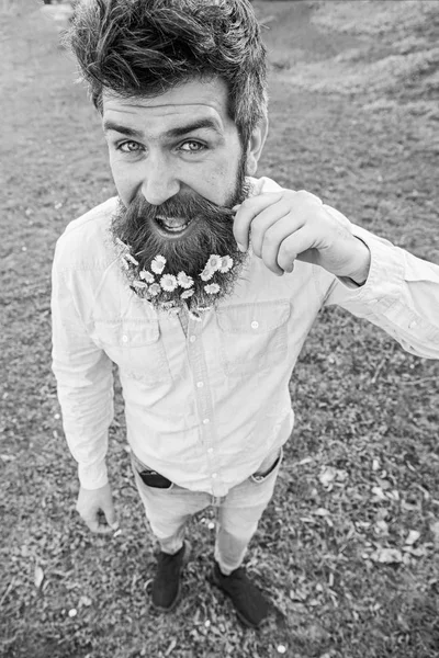 Hipster mutlu yüz defocused çimenlerin üzerinde durmak. Doğal güzellik kavramı. İle adam sakal ve bıyık zevk bahar, katlanmış bıyık, çayır arka plan. Adam güzel sakal daisy çiçeklerle benziyor. — Stok fotoğraf
