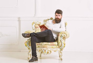 Koltuk sakal ve bıyık oturur ve okurken, beyaz duvar arka planı olan adam. Uzman, Profesör edebiyat tadını çıkarın. Maço kitap ile boş zaman harcıyor. Uzman edebiyat kavramının