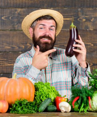 Organik bitkileri büyümeye. Ev yapımı organik gıda. Sakal ahşap arka plan olan adam. Organik bahçecilik kavramı. Çiftçi organik sebzeler ile. Bahçe ve tarım sistemleri özel teknikler reçete