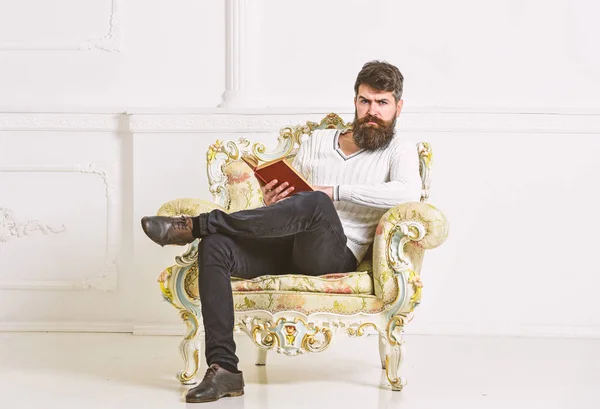 Hombre con barba y bigote se sienta en el sillón y la lectura, fondo blanco de la pared. Conocedor, el profesor disfruta de la literatura. Macho pasa el ocio con el libro. Conocedor del concepto de literatura —  Fotos de Stock