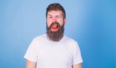 Çilek nefes temizleyici kavramı. Çilek yemek uzun sakallı adam yakışıklı hippi. Tazelik kırmızı renkte geliyor. Berry de sakallı hippi ağız. Hipster kırpan yüz zevk taze kırmızı çilek