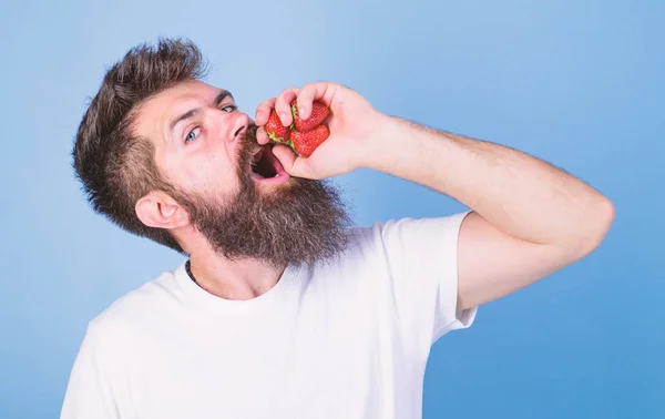 Hipster bearded holds strawberries in fist as juice bottle. Man bearded drinks strawberry juice blue background. Man strict face enjoy extra fresh drink strawberry juice. Fresh juice concept