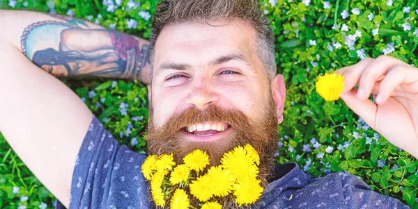 Tipo con dientes de león en la barba relajante, vista superior. Concepto de relajación. El hombre con barba en la cara feliz puso la mano detrás de la cabeza. Barbudo hombre con flores de diente de león en la barba yacía en el prado, fondo de hierba — Foto de Stock