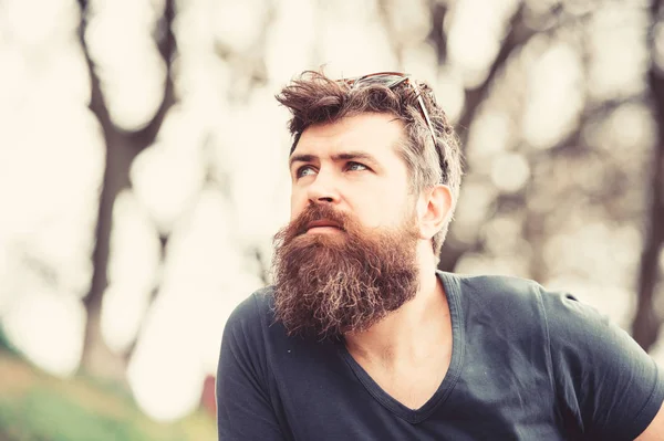 Man with long beard and mustache wears sunglasses on head, defocused background. Guy looks cool with stylish beard and haircut. Barbershop concept. Hipster with beard with gray on thoughtful face