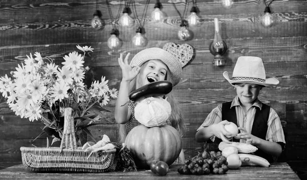 小学校は秋祭りのアイデアです。秋の収穫祭。子供たちは、カボチャ キャベツ野菜を再生します。子供少女少年摩耗帽子を祝う収穫祭の素朴なスタイル。秋の伝統を祝う — ストック写真