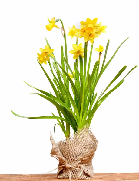 Narciso amarelo, buquê de flores da primavera em serapilheira para saudação de férias — Fotografia de Stock