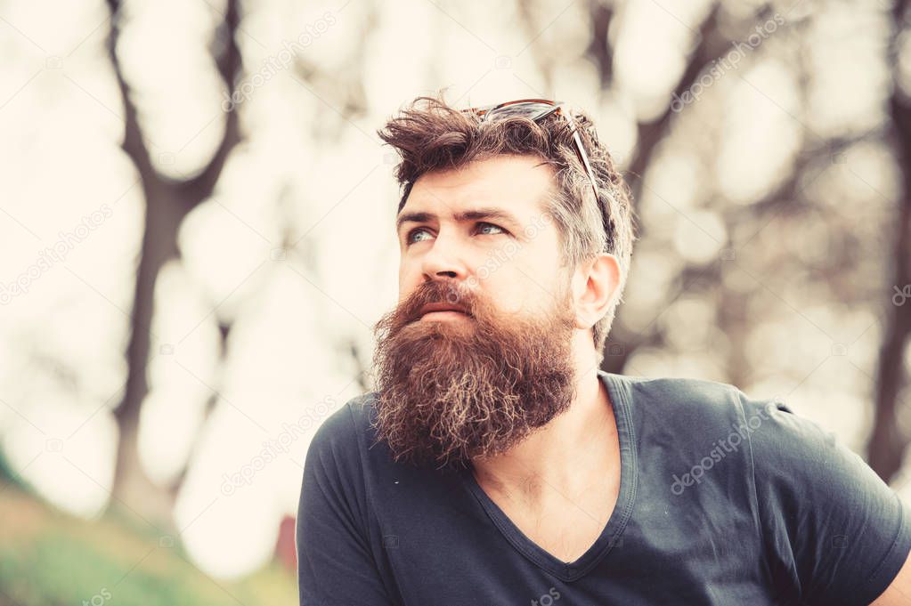 Man with long beard and mustache wears sunglasses on head, defocused background. Guy looks cool with stylish beard and haircut. Barbershop concept. Hipster with beard with gray on thoughtful face
