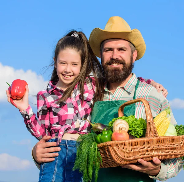 Farmer family homegrown harvest. Father and daughter hold basket harvest vegetables. Gardening and harvesting. Family farm concept. Only organic and fresh harvest. Man bearded rustic farmer with kid — Stock Photo, Image