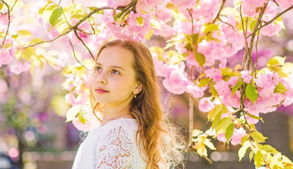 Concept de tendresse. Enfant mignon profiter de la nature le jour du printemps. Fille sur le visage rêveur debout sous les branches de sakura avec des fleurs, déconcentré. Fille aux cheveux longs en plein air, fleur de cerisier sur le fond — Photo