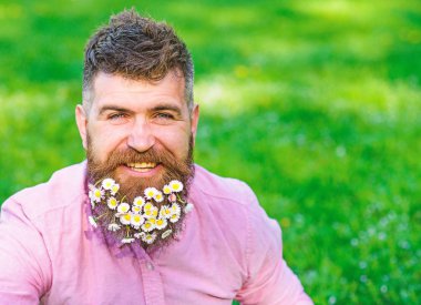 Güler yüz üzerinde sakallı Anti olmadan hayatın tadını çıkarın. Bahar Anti kavramı. Hippi papatyalar görünümü mutlu, kopya alanı ile. Sakal, daisy çiçeklerle sakallı adam arka plan defocused, çimen