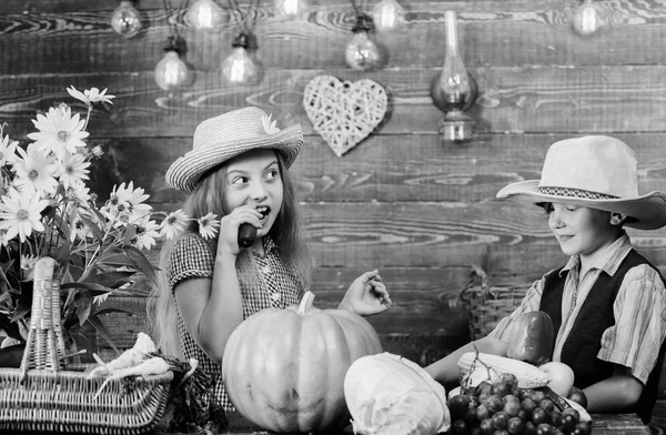 小学校は秋祭りのアイデアです。子どもたちは遊び野菜カボチャです。子供少女少年摩耗カウボーイ農家風の帽子は、収穫祭を祝います。秋の収穫祭。秋の伝統を祝う — ストック写真