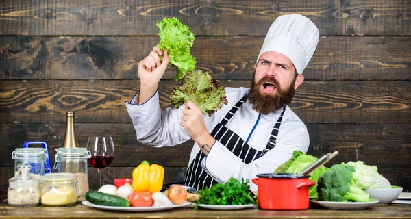 Healthy nutrition. Healthy food recipe. Eat healthy. Dieting concept. Man wear hat and apron hold lettuce. Bearded hipster professional chef hold lettuce greenery. Healthy vegetarian recipe