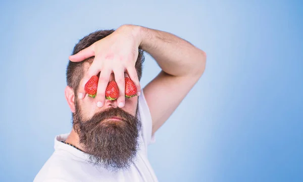 Blind of strawberry. Man bearded hipster hold hand with strawberries in front of eyes. Strawberry on my mind. Glance of man blocked by berries. Man can not see anything but strawberry blue background