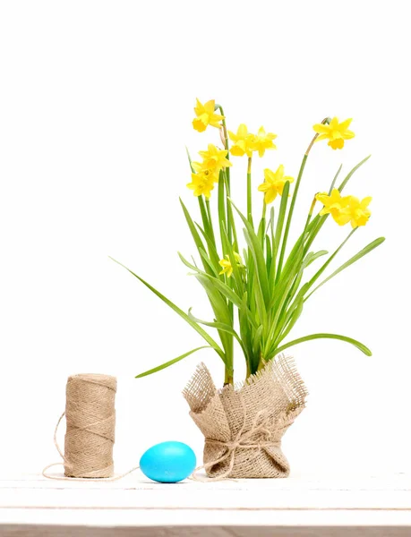 Spring yellow narcissus, blue easter egg and thread or rope — Stock Photo, Image